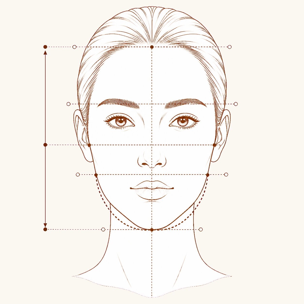 Line-art face diagram with guide lines for face length, widest point, jawline shape, and chin taper