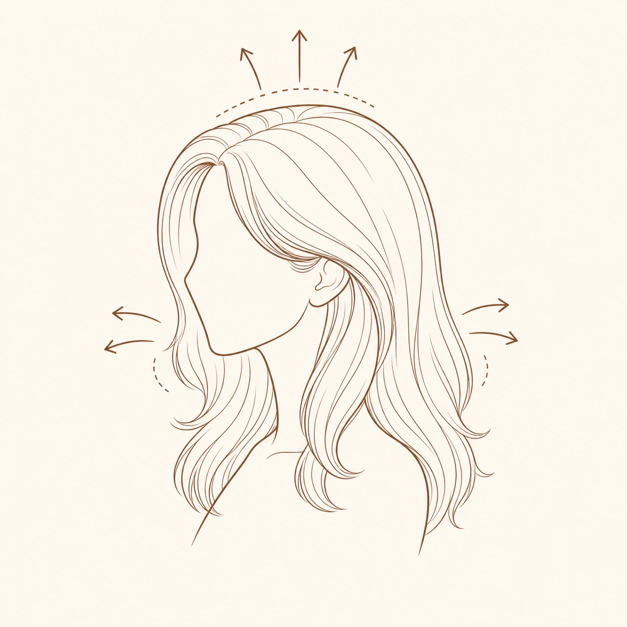 Line art showing hairstyle volume placement around the head